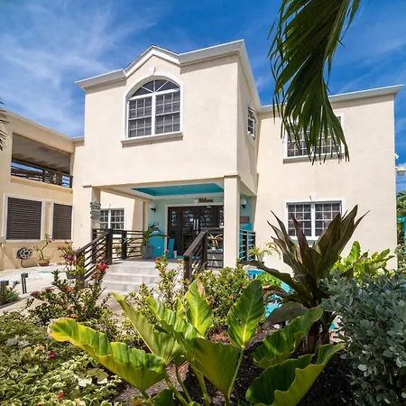 Hidden Gem Barbados Bed & Breakfast